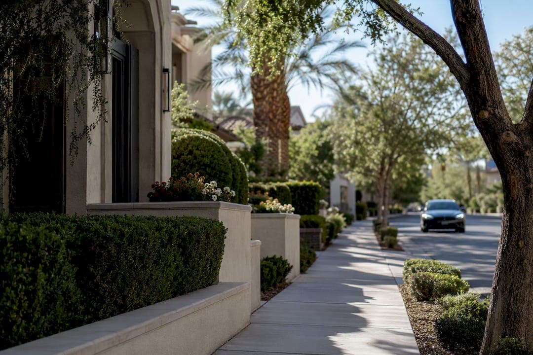 Settle Into Las Vegas: A Community Guide for New Residents